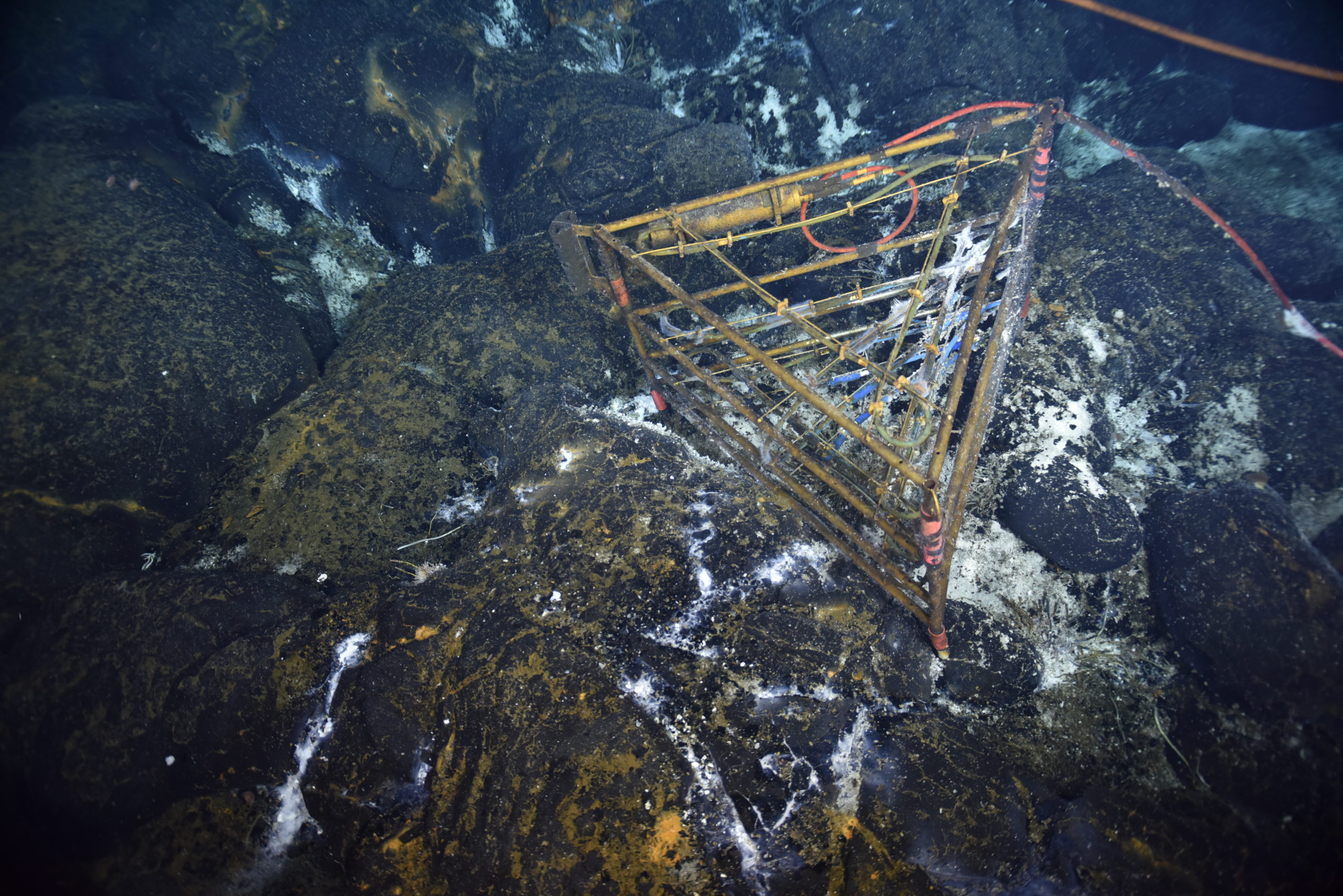 This triangular object is a 3D temperature array: 4 stacked arrays with 24 independent temperature measurement points, providing a three-dimensional distribution of temperature flow across the seafloor at ASHES vent field on Axial Seamount. Credit: NSF-OOI/UW/CSSF, Dive R2249, V22