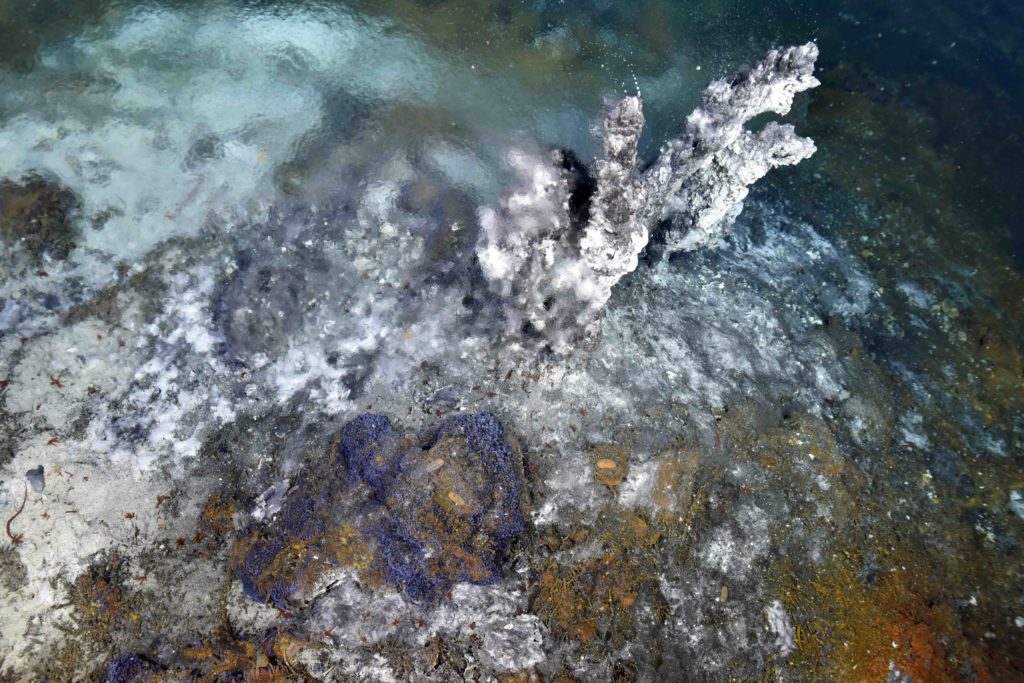 Small bubbles are emitted from the anhydrite - sulfide chimney 'Diva' in the International District Hydrothermal Field. The vent fluids are extremely enriched in carbon dioxide. Credit: UW/NSF-OOI/CSSF; ROPOS Dive R2210; V22.